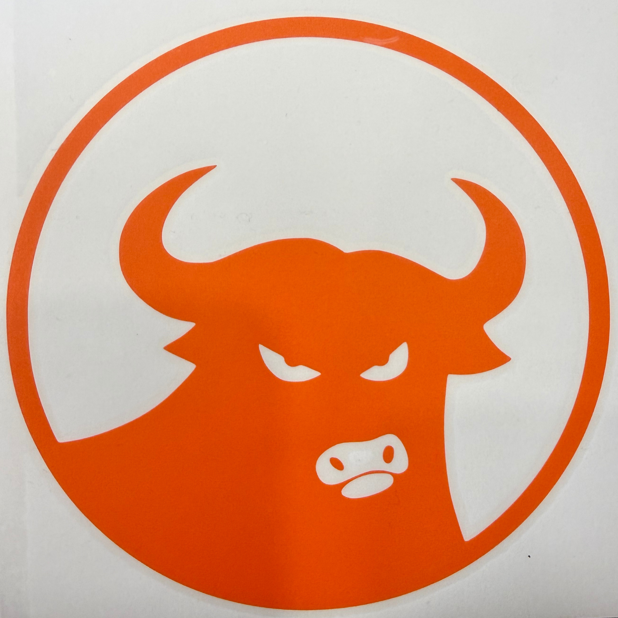 Assorted 662 Bull Die Cut Sticker - 7"