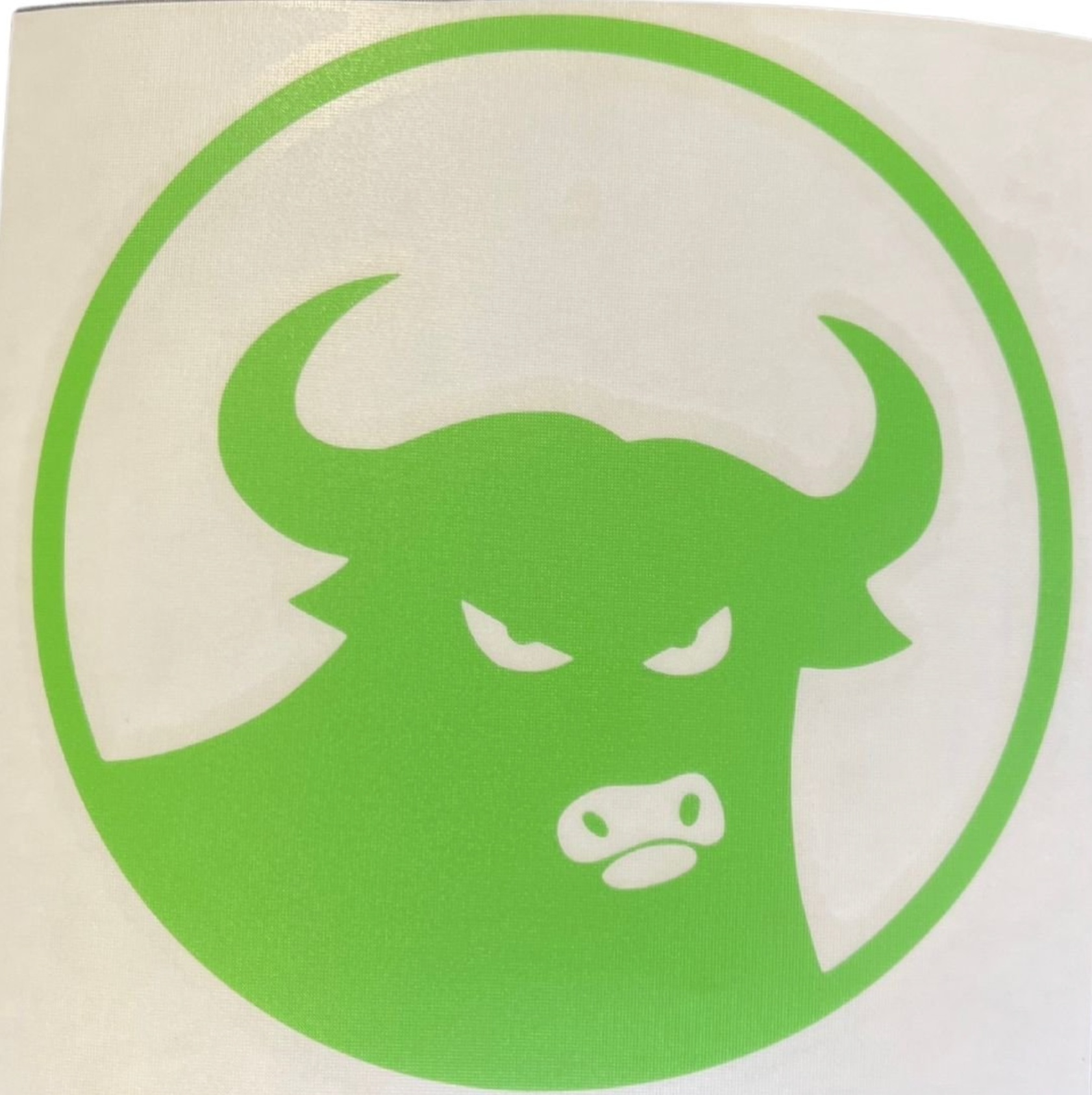 Assorted 662 Bull Die Cut Sticker - 4.5"