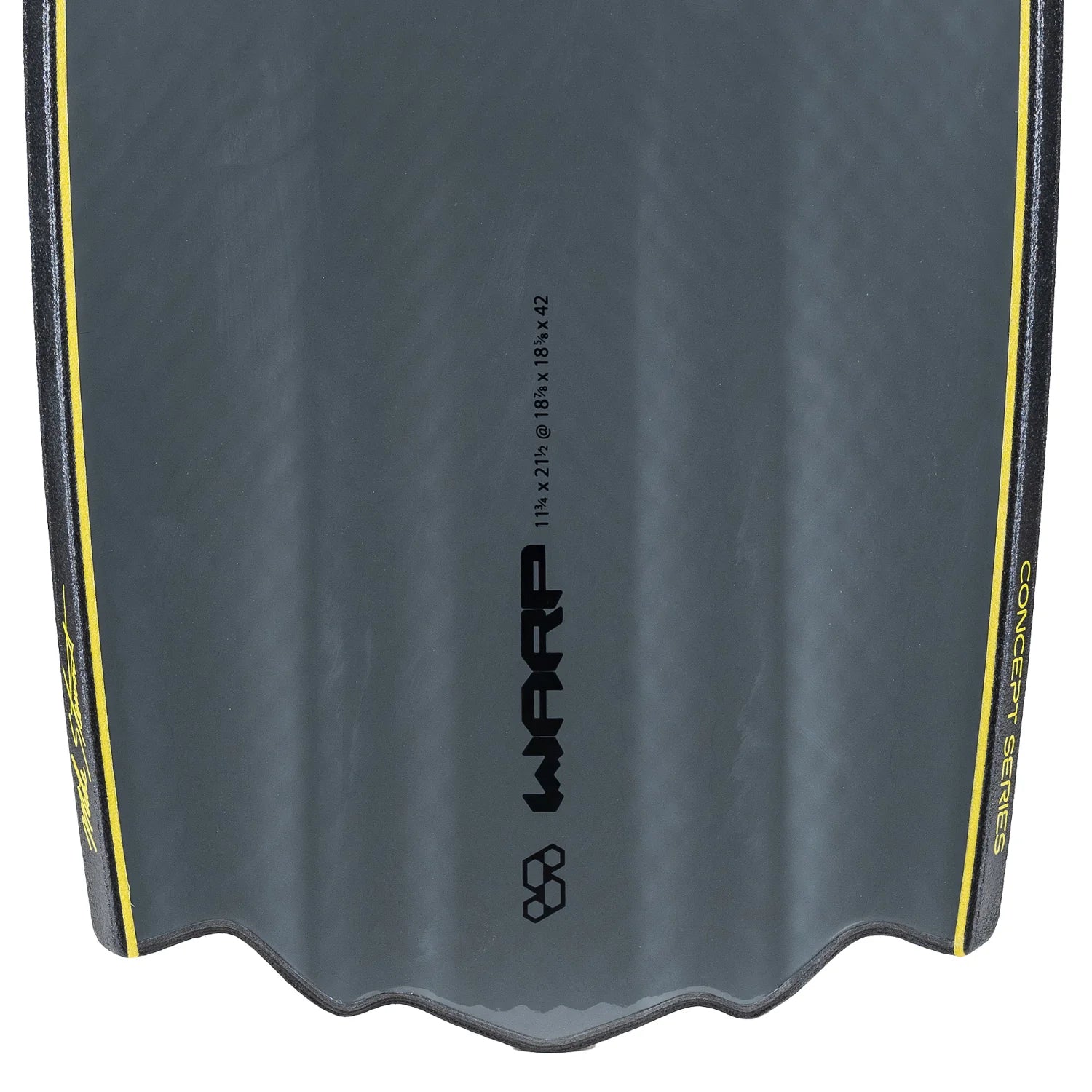 Science MSCX - The Warp Bodyboard
